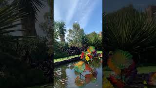 Chihuly  Adelaide Botanic Garden [upl. by Eimar]