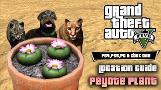 GTA 5  Peyote Plants Complete Location Guide 2024 [upl. by Conias371]