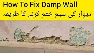 How To Fix Damp Wall By Your Own  Damp Wall Treatment  All about home [upl. by Oettam]