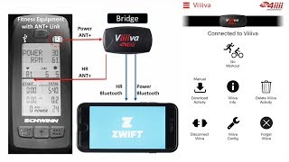 How to Zwift on a Spinning Bike  Taking Indoor Cycling on the Road [upl. by Florin]