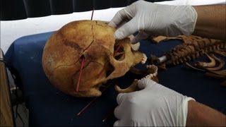 Extended Version From Guatemalan Soil Unearthing Evidence of Genocide [upl. by Dhu]