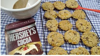 The Best Chocolate ChipApricot Cookies Recipe [upl. by Turro]