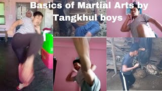 Basics of Martial Art by Tangkhul boys [upl. by Ennyl]