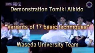 DEMONSTRATION TOMIKI AIKIDO Variants of 17 BASIC tehniques Waseda University Team [upl. by Hawkie453]