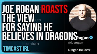 Joe Rogan ROASTS The View For Saying He BELIEVES IN DRAGONS He Changes His Twitter Bio [upl. by Seira]