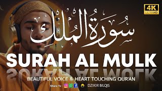 Surah Al Mulk سورة الملك  Heart Touching Quran Recitaion  Power Full Dzikir  Voice Alaa Aqel [upl. by Hartzke988]