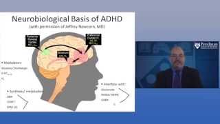 The Neurobiology of ADHD [upl. by Siward783]