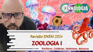 REVISÃO ENEM 2024  Zoologia I [upl. by Glynda]