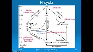 SIR2017 Lecture on Geochemical Cycling N S C etc [upl. by Dowzall]