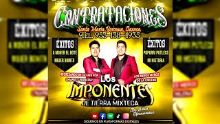 ⭐  La Movidita  Los Imponentes de Tierra Mixteca Audio en vivo [upl. by Enyala]