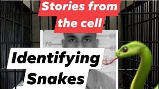 Stories from the cell Identifying Snakes [upl. by Tuck282]