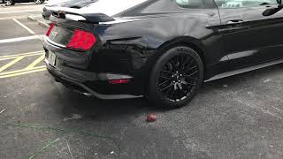 Lethal Performance 2018 Mustang GT w 10R80 Automatic [upl. by Junette]