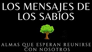 Los mensajes de los sabios Brian weiss Audiolibro completo en español voz humana [upl. by Moscow]