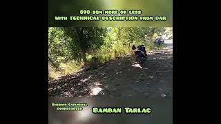 890 sqm Lot For sale Bamban Tarlac  with DAR DESCRIPTION [upl. by Seve502]