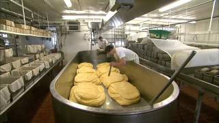 The Art of Cheesemaking [upl. by Avika]