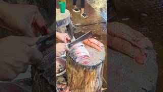 Amazing Hilsa Fish Cutting Skills In Bangladesh Local Fish Market shorts [upl. by Kushner810]