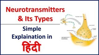 Neurotransmitter and Its Types Simple explaination in hindi  Bhushan Science [upl. by Latsyc]