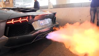 The BEST LAMBORGHINI AVENTADOR Engine SOUNDS Ever [upl. by Ahsiuqat]