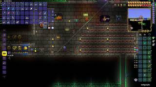 Terraria MASTER MODE Squad  Pescando  11 LIVE [upl. by Llerehs]