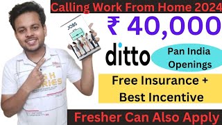 Earn Work From Home ₹40000 Every Month  Ditto Work From Home Jobs 2024  Online Jobs Insurance [upl. by Enneicul]