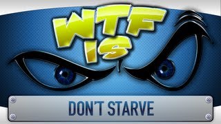 ► WTF Is  Dont Starve [upl. by Eentruoc]