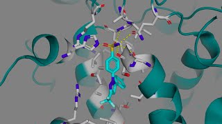 Celecoxib Celebrex and other COX2 Selective Inhibitors [upl. by Ynavoj981]