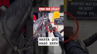 🐴💢 La INCREÍBLE inteligencia de este CABALLO alucinó a todos [upl. by Annahoj]