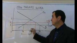 tariffs and protectionism [upl. by Correy511]