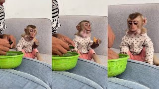 Monkey Bryan eats fruits looks yummy  cute monkey animals eating [upl. by Schumer756]