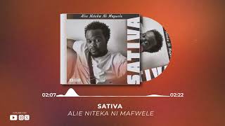 SATIVA 17  Aliyeniteka ni MAFWELE  Official Audio [upl. by Elata]