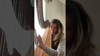 Goodnight Sweet Possums from Ice Age 2 The Meltdown performed on harp by Jenna Hunt [upl. by Gunning272]