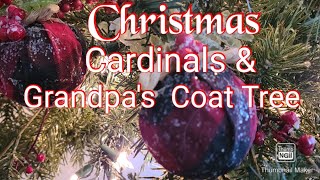 Christmas Decorate Cardinals amp Grandpas Coat Ornaments [upl. by Laetitia598]