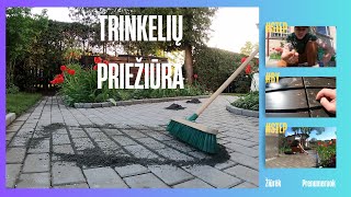 Trinkelių priežiūra valymas ir tarpų užpildymas  Darbų apžvalga  vlog 9 [upl. by Isa]