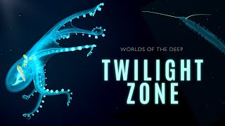 Mysteries of the Twilight Zone  Worlds of the Deep [upl. by Berg]