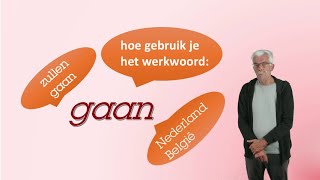 Het werkwoord gaan niveau A2B1B2 [upl. by Ulphi]