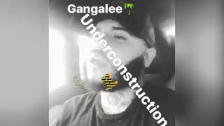 Farruko  Gangalee the álbum 2018  Preview [upl. by Malina]