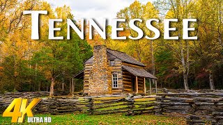 Tennessee 4K UHD  Stunning Fall Foliage Cinematic Journey Through Scenic Tennessee [upl. by Natty]