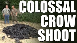 Fieldsports Britain  Colossal crow shoot [upl. by Kcirredal]