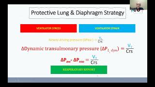 Lung and Diaphragm Protective Ventilation [upl. by Bakki64]