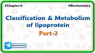 Chapter 6  Lipids  Classification amp Metabolism Of lipoprotein Part 6  Hindi [upl. by Kevon]