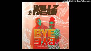 willz amp TSean bye bye pro by djbaila [upl. by Einwat738]