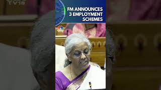 Govt Announces 3 EmploymentLinked Incentive Schemes Based On EPFO Enrolment  Budget 2024  N18S [upl. by Okomom533]