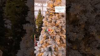 New In Dobbies Garden Centre Christmas 2024 shorts christmasdecor christmastrees festivevibes [upl. by Nuzzi216]