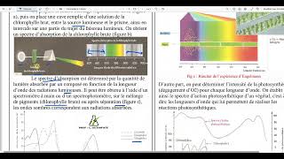 94  Le spectre dabsorption de la chlorophylle brute [upl. by Newmann]