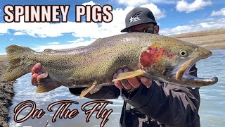 NONSTOP MONSTERS  Fly Fishing Colorados Spinney Mountain Reservoir for MASSIVE TROUT [upl. by Eetnom]