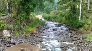 Impactante vídeo de un río en Costa Rica que crece por una quotcabeza de aguaquot [upl. by Hteboj713]