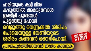 ഹരിയുടെ കട്ടി മീശ കഴുത്തിൽ അമരുമ്പോൾ ഇക്കിളി പൂണ്ടവൾ പുളഞ്ഞു പോയി  PRANAYAMAZHA NEW STORY [upl. by Ymerej]