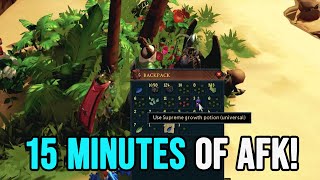 One of the Best Methods For 15 Minute Afk Thieving [upl. by Ydnamron]