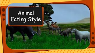 Science  Different Eating Styles of Animals English [upl. by Haden]