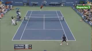 Novak Djokovic crazy defensive skills vs Del Potro HD [upl. by Eseryt]